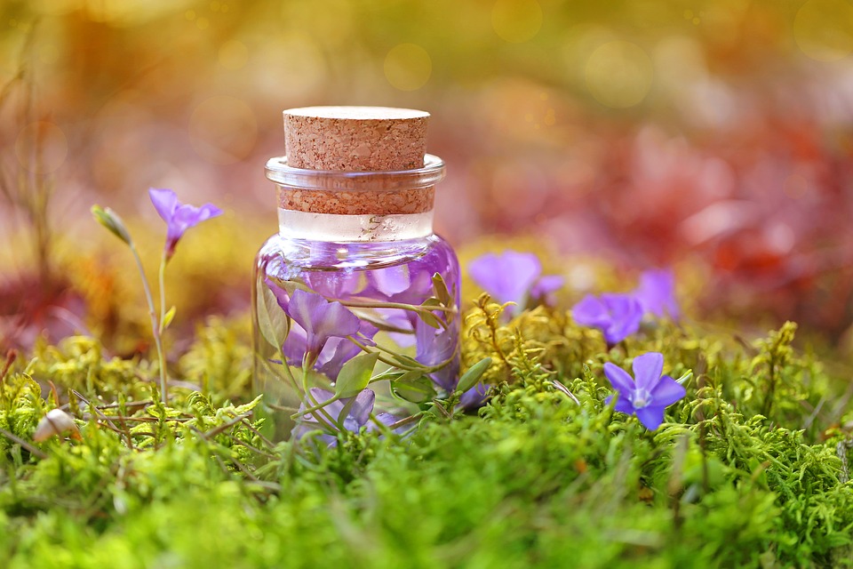 Fleurs violettes dans une bouteille pour un traitement de naturopathie