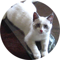 test1