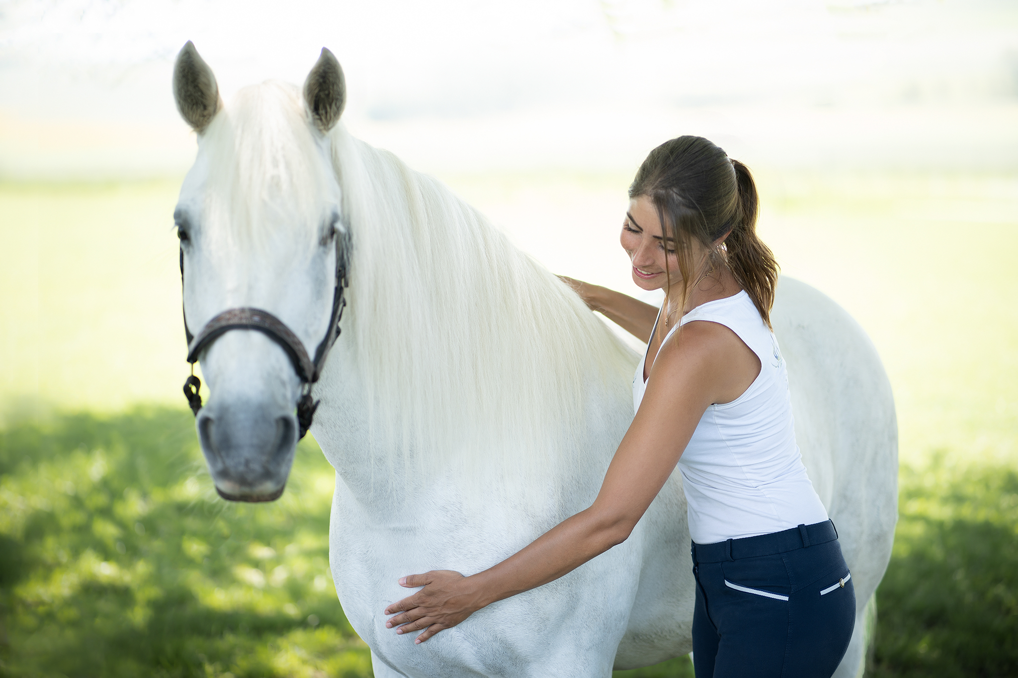 Naturopathe pour animaux chiens chats chevaux