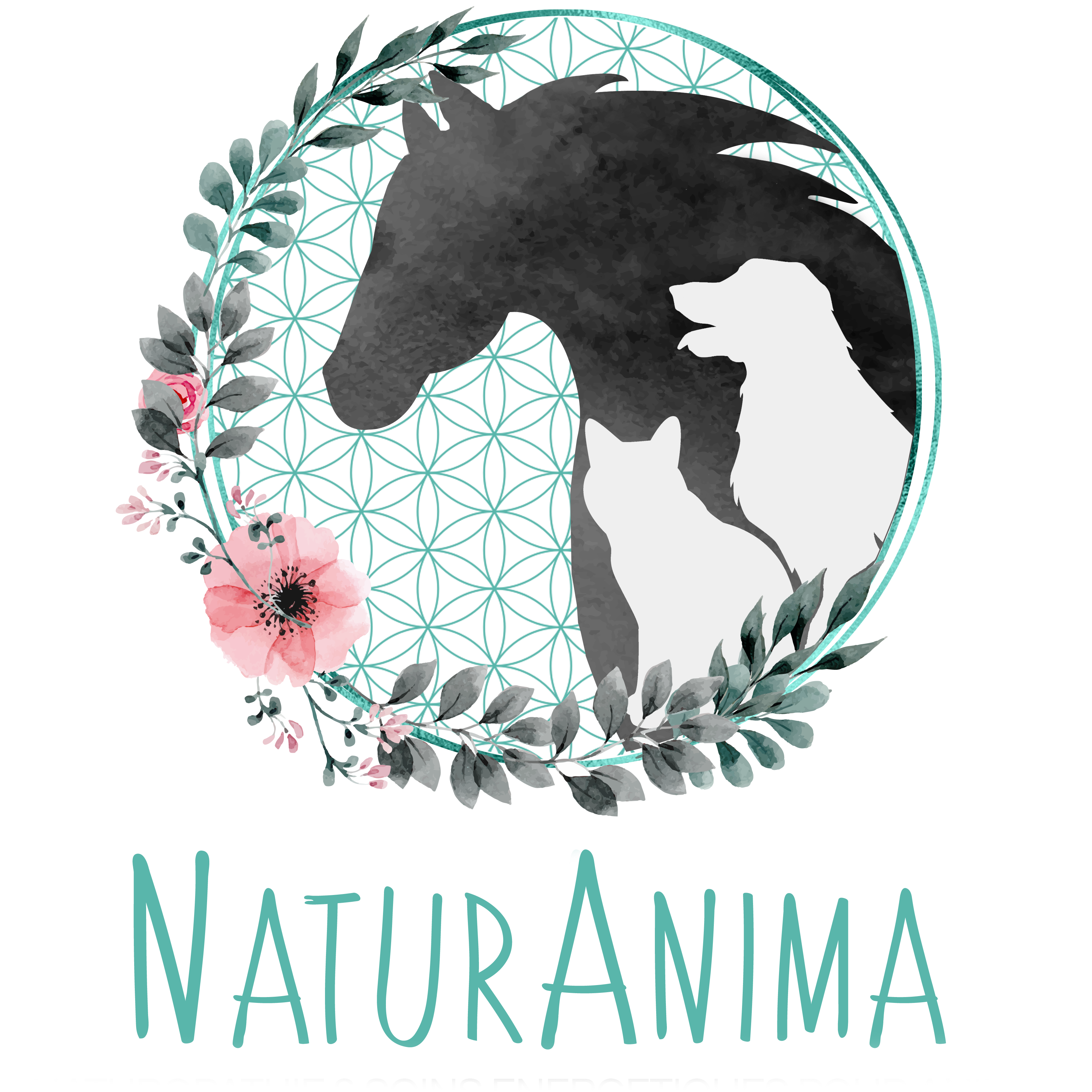 NaturAnima Logo Menu