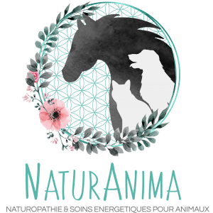 NaturAnima Menu complet