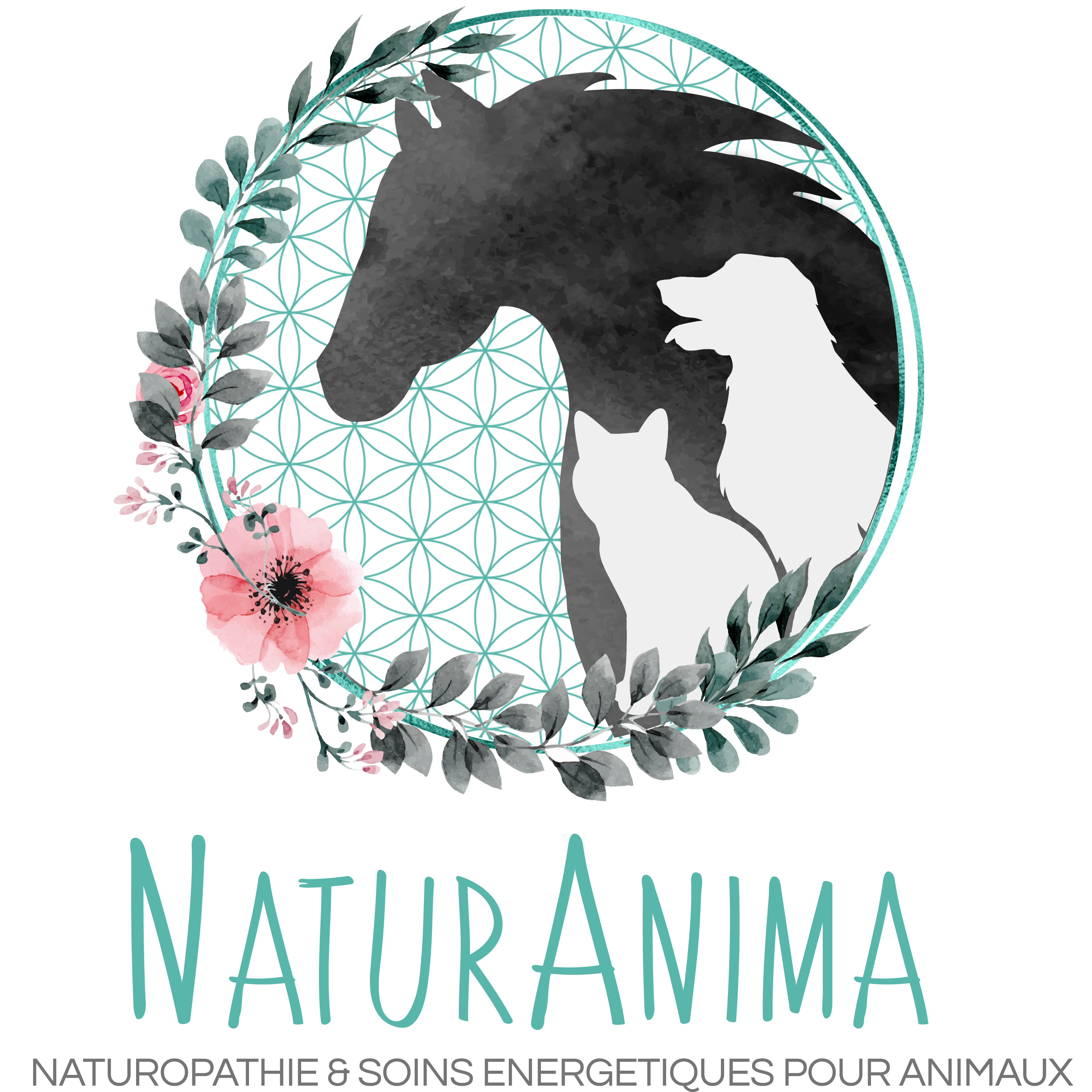 NaturAnima Menu complet