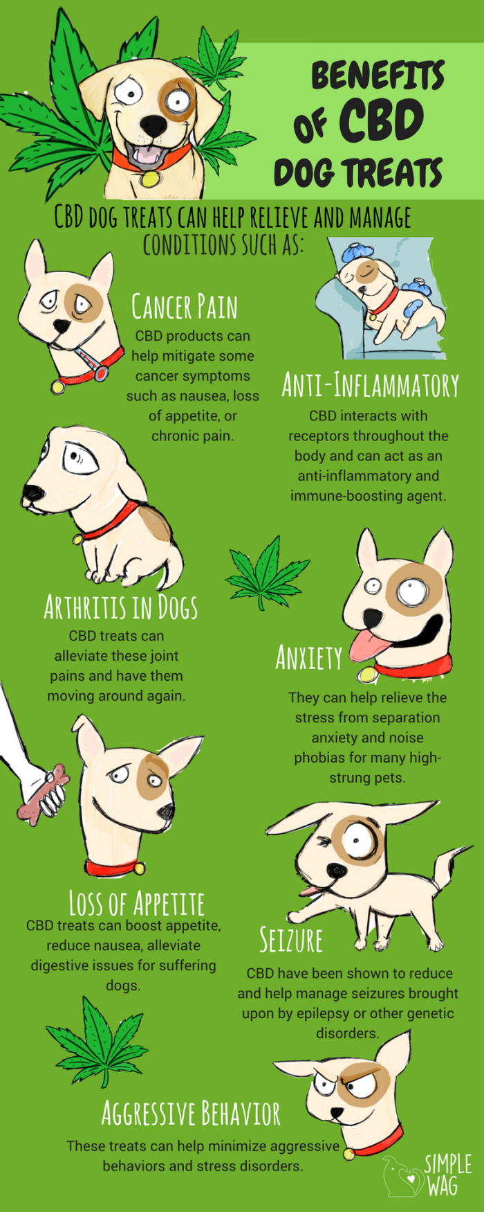 benefices cbd animaux